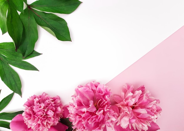 Composición de peonías rosas, hojas sobre fondo blanco y rosa pastel. Flores frescas. Publicidad de contenido floral para cumpleaños, día de San Valentín, día de la mujer. Plano, vista superior, primer plano, espacio de copia