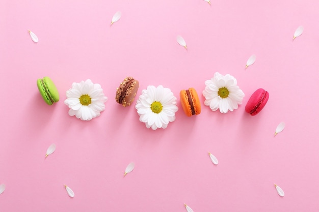 Foto composición plana laicos de coloridos macarrones franceses, flores blancas y pétalos