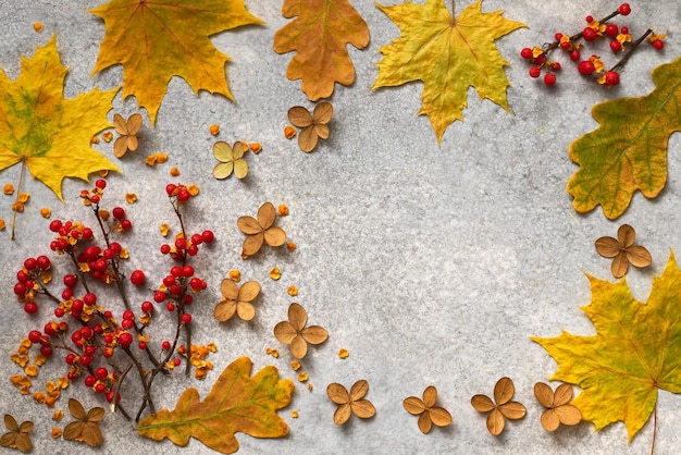 Composición plana de otoño con hojas caídas y flores secas con espacio de copia