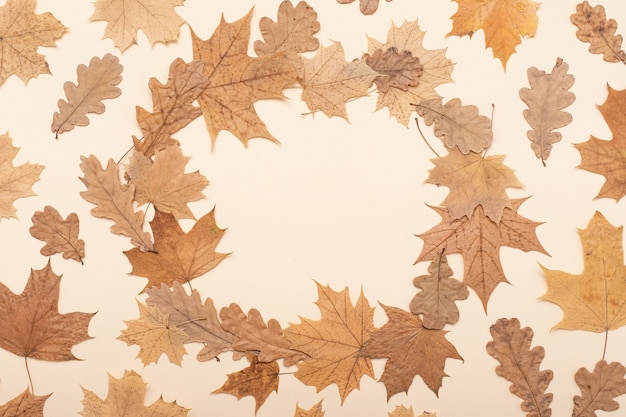 Composición plana de otoño. Otoño, otoño, fondo del día de acción de gracias. Concepto de temporada de otoño. Flatlay, vista superior
