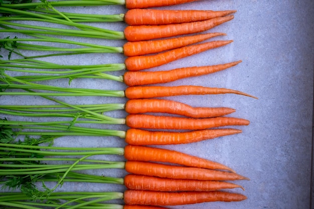 Composición plana de zanahorias frescas con hojas.