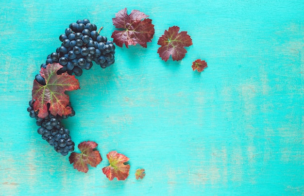 Composición de racimos de uvas negras maduras y hojas de vid sobre un fondo azul pintado.