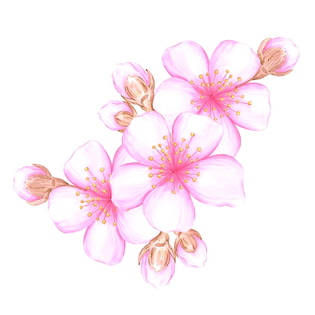 Composición de ramas de flores de cerezo en acuarela dibujada a mano Ilustración de flores aisladas sobre un fondo blanco Se puede usar para álbum de recortes de etiquetas de postales y otros productos impresos