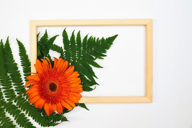 Una composición romántica de flores de gerbera y hojas de helecho. Marco de flores y fotos de naranja sobre un fondo blanco.