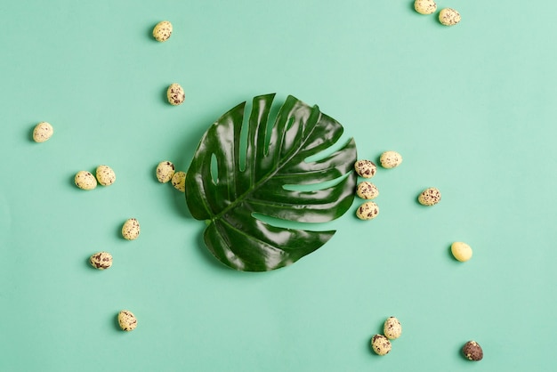 Composición de saludo de pequeños huevos de codorniz y planta de hoja verde tropical