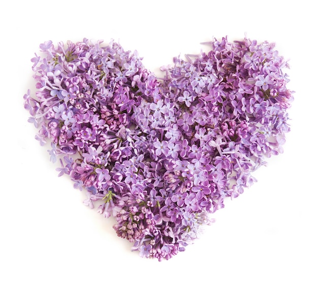 composición de san valentín con flores lilas