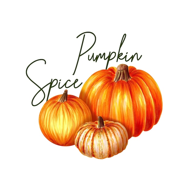 Composición de tres calabazas naranjas y texto de Pumpkin Spice en blanco_ ilustración de marcador dibujado a mano