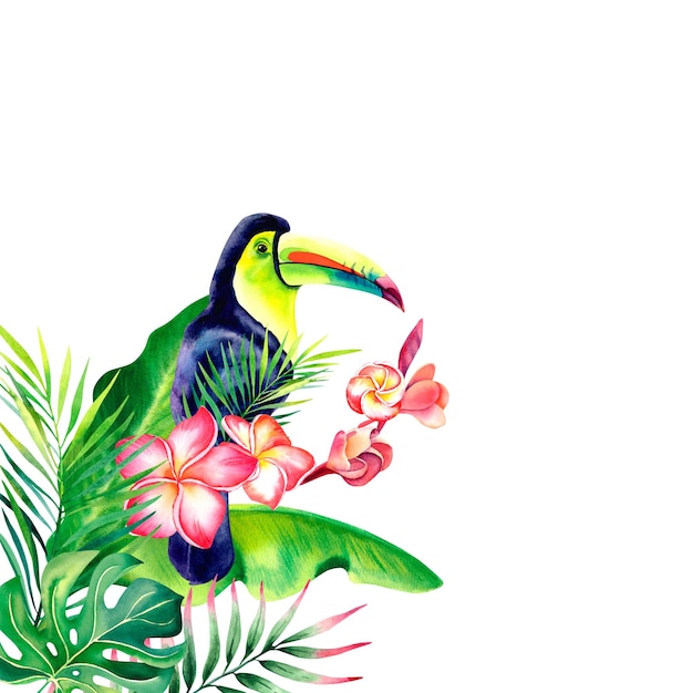 Una composición con un tucán arco iris sobre un fondo aislado Un pájaro exótico Los trópicos Monstera rama de palma plumeria Ilustración acuarela