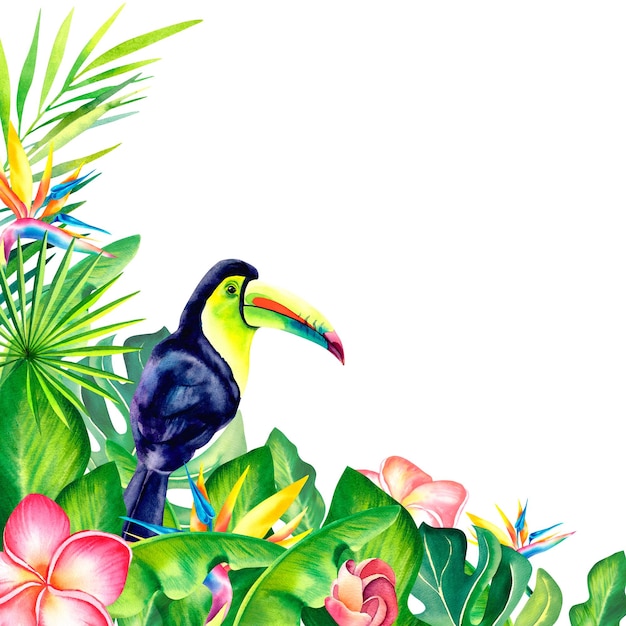 Una composición con un tucán arco iris sobre un fondo aislado Un pájaro exótico Los trópicos Monstera rama de palma plumeria Ilustración acuarela