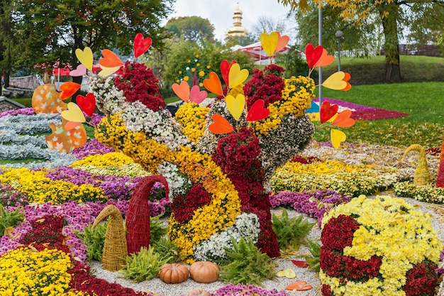 Las composiciones de otoño están hechas de crisantemo, Exposición de crisantemo de otoño en Kiev