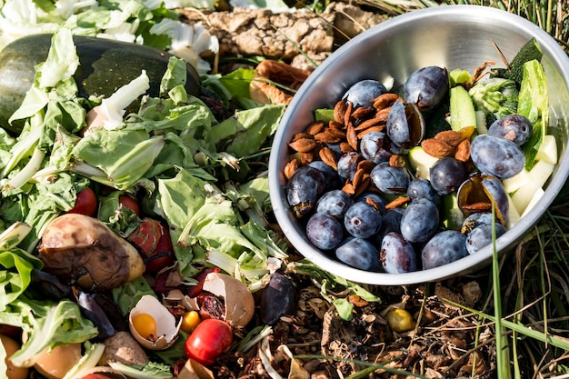 Compostagem reciclagem de resíduos de cozinha na triagem de compostagem e bio fertilizante