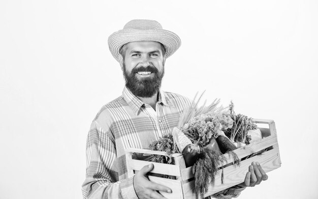 Comprar alimentos locales Granjero hombre barbudo rústico sostener caja de madera con verduras cultivadas en casa fondo blanco Granjero hombre llevar la cosecha alimentos cultivados localmente Granjero estilo de vida ocupación profesional