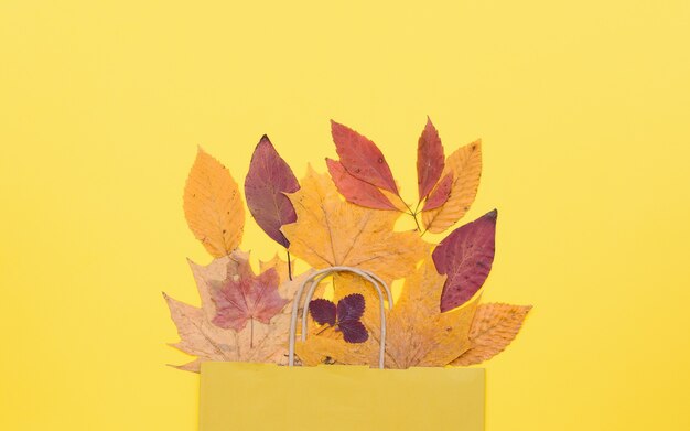 Foto compras de otoño con descuentos, rebajas de otoño.