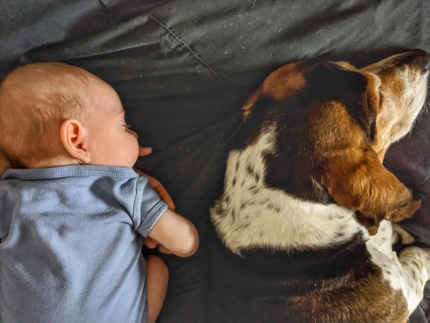 Comprimento completo de menino bonito e cão de caça