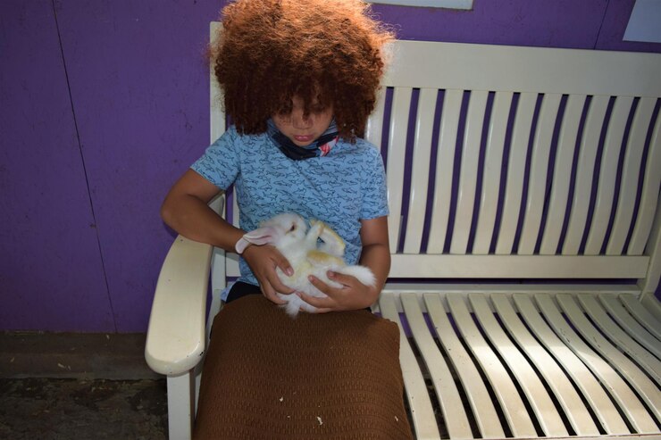 Foto comprimento completo de menino segurando coelho