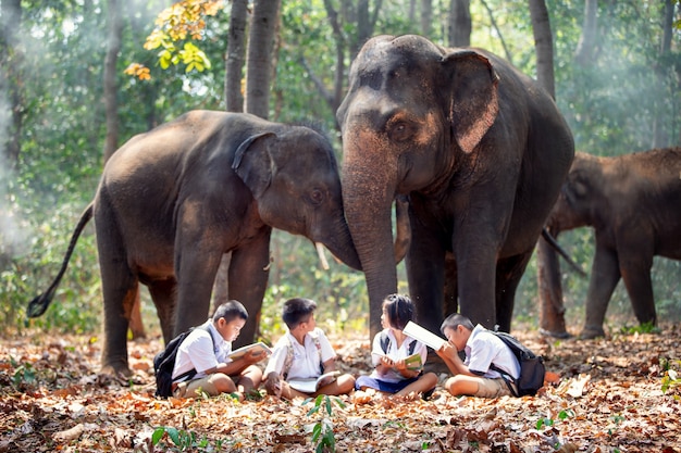 Comprimento total de alunos em pé ao lado de um elefante na floresta