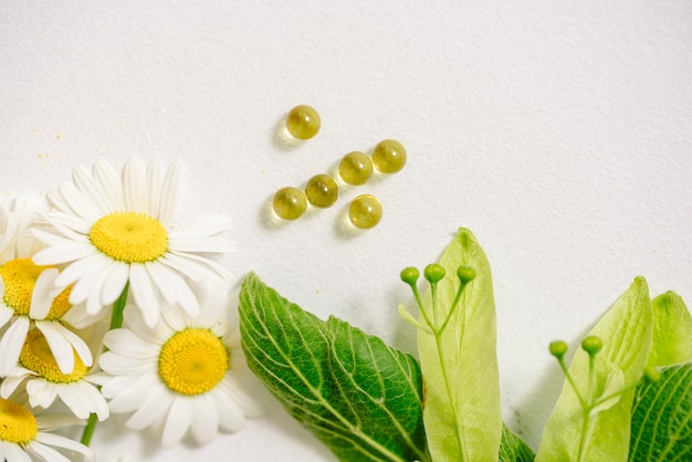 Comprimidos brancos em kraft klubke, plantas medicinais de folhas verdes, medicina homeopática. Flores de folhas e frutos de tília, flores de camomila.