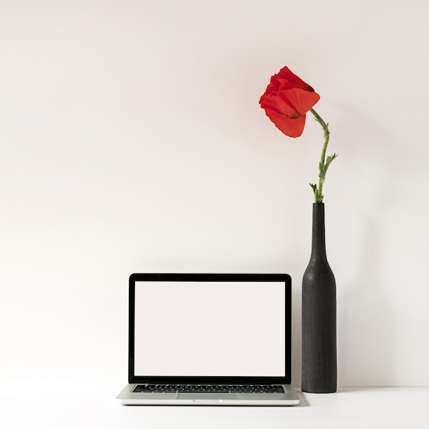 Computador portátil com tela em branco na mesa com flor de papoula elegante em garrafa contra parede branca Influenciador estético modelo de design de interiores de espaço de trabalho de escritório estilo minimalista com espaço de cópia