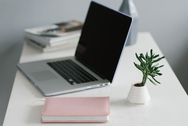 Una computadora portátil, un diario rosa y una planta de interior, un lugar de trabajo.