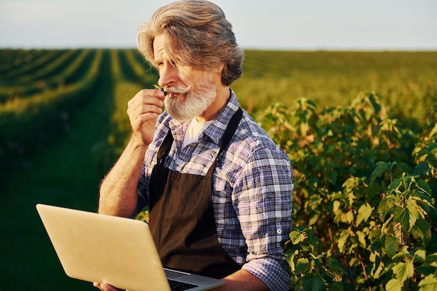 Con la computadora portátil en las manos Hombre elegante senior con cabello gris y barba en el campo agrícola con cosecha