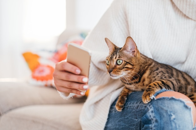 Comunicación mascota y propietario. amistad humana y animal. chica mostrando una foto por teléfono a su gato.