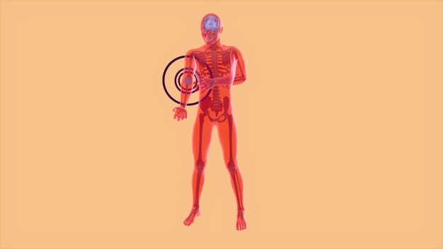 Foto conceito abstrato da anatomia 3d de uma dor de cotovelo