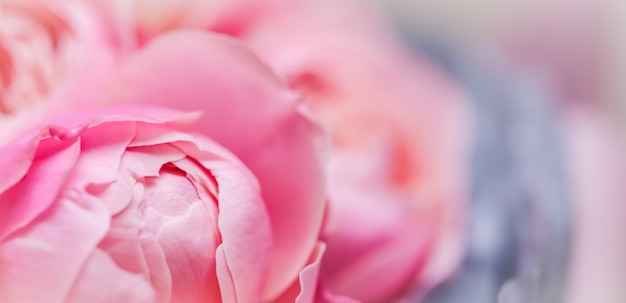 Conceito botânico, cartão de convite de casamento - foco suave, fundo floral abstrato, pétalas de flores de rosa cor de rosa. Cenário de flores macro para design de férias