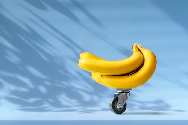 Conceito criativo de entrega de alimentos com espaço de cópia Bando de bananas em uma roda de um carrinho de supermercado em um fundo azul