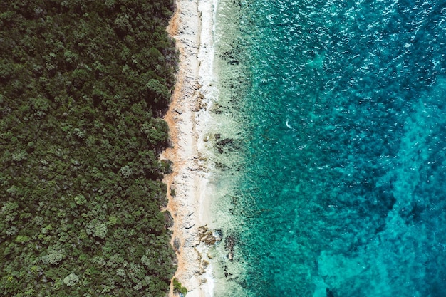 Conceito criativo mínimo de praia Layout de férias de verão com água azul e areia em fundo brilhante Configuração plana