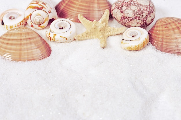 Conceito das horas de verão com seashells, estrela, seixos do mar no fundo branco da areia.