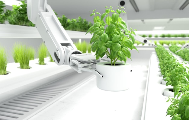 Conceito de agricultores robóticos inteligentes braço robótico pegando vegetais orgânicos
