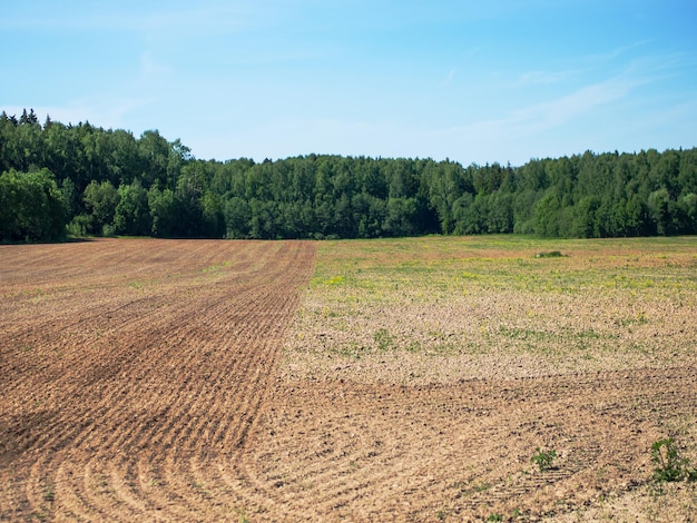 Conceito de agricultura e agricultura de campo meio arado