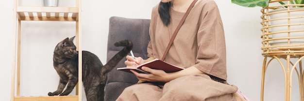 Conceito de amante de animais de estimação Jovem asiática brincando com gato e tomando notas no notebook na sala de estar