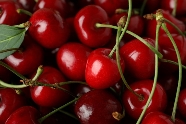 Conceito de baga doce com cereja vermelha