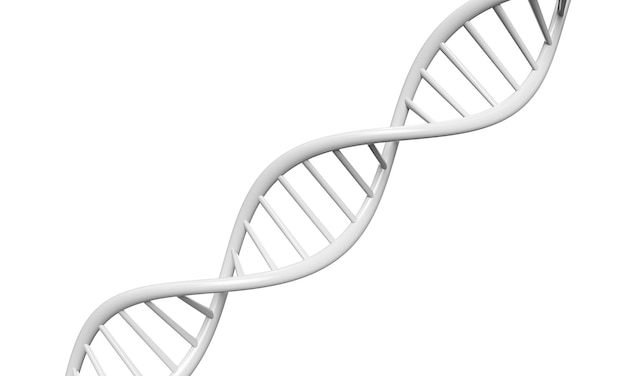 Conceito de bioquímica com molécula de DNA isolada em fundo branco, renderização em 3D