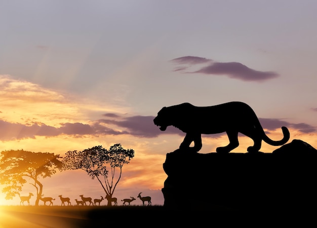 Conceito de caça. silhueta de uma chita caçando no fundo de animais da savana ao pôr do sol