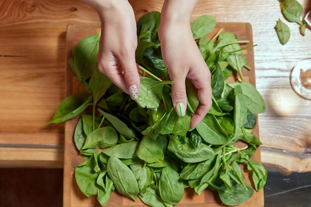 Conceito de comida saudável Verdes frescas Dieta saudável Mãos femininas em fundo branco seguram folhas de espinafre verde