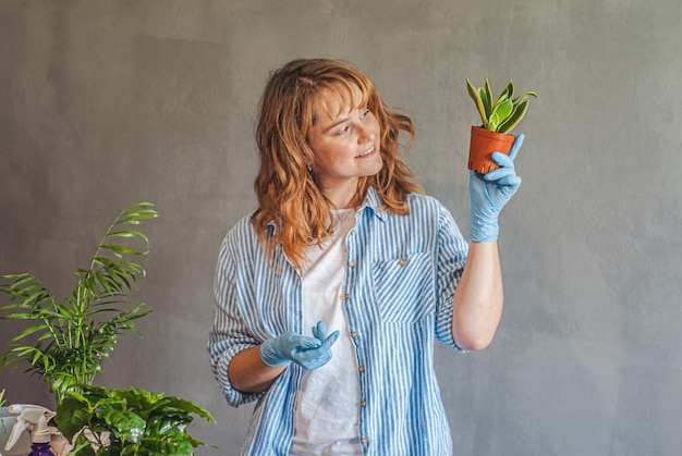 conceito de como cuidar de plantas de interior, uma garota segura um vaso com sansevieria nas mãos