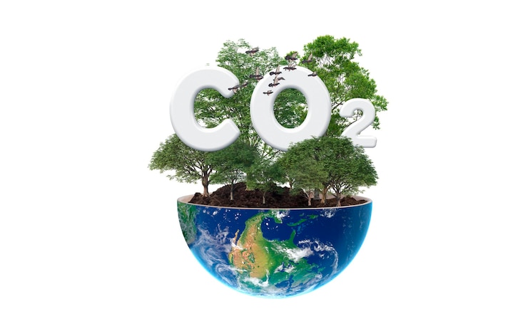Foto conceito de crédito de carbono