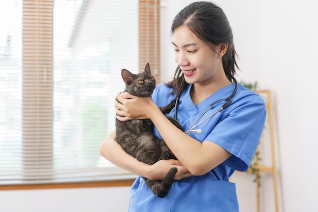 Conceito de cuidados com animais de estimação Veterinário feminino brincando e abraçando um gato fofo depois de examinar o gato de saúde