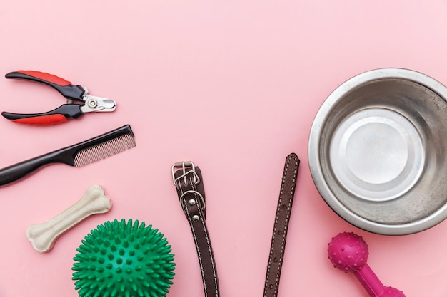 Conceito de cuidados e animais de estimação. Brinquedos e acessórios para cães brincando e treinando isolados em um fundo rosa pastel moderno