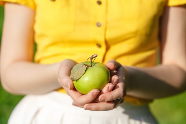 Conceito de cultivo, jardinagem, colheita e pessoas - mãos de mulher segurando maçãs