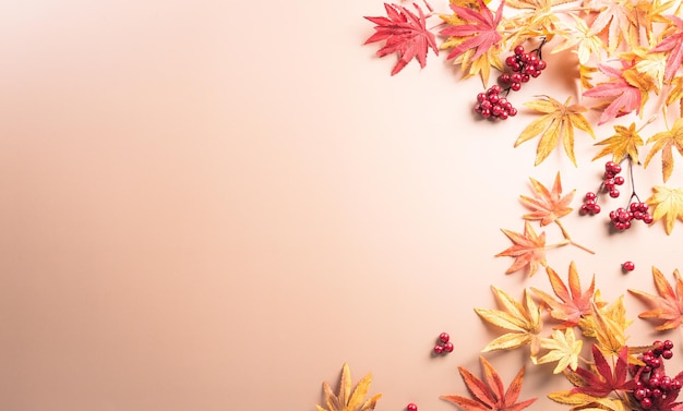 Conceito de decoração de outono e ação de graças feito de folhas de outono berry e abóbora em fundo escuro Vista superior plana com espaço de cópia