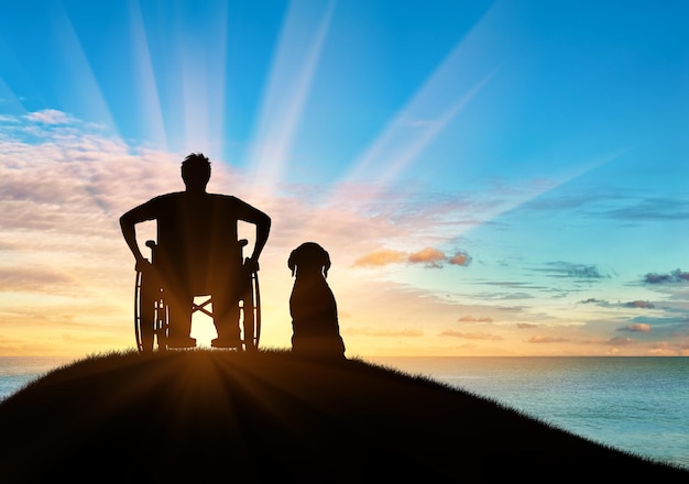 Conceito de deficiência e doença. Silhueta de uma pessoa com deficiência em uma cadeira de rodas com seu cachorro ao pôr do sol e reflexo na água