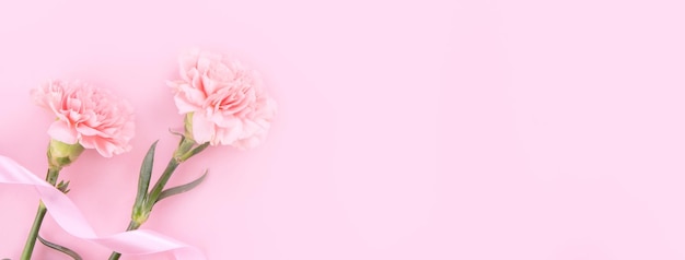 Conceito de design do Dia das Mães Cravos rosa em um fundo rosa pálido com cartão de agradecimento e palavras vista superior espaço de cópia plana leiga