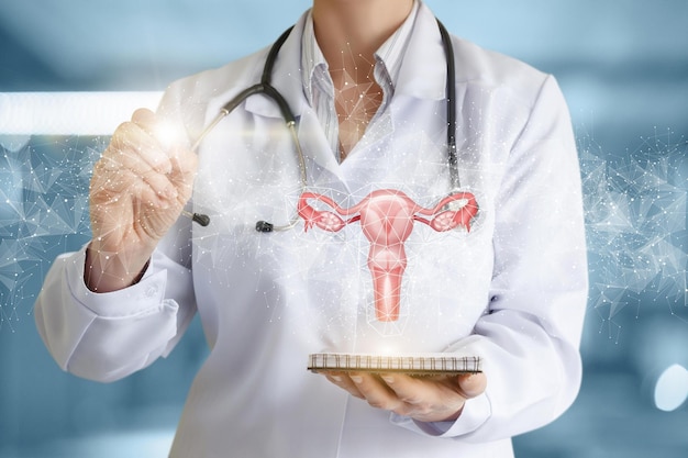 Conceito de diagnóstico de exame de útero O médico mostra o útero no fundo da rede