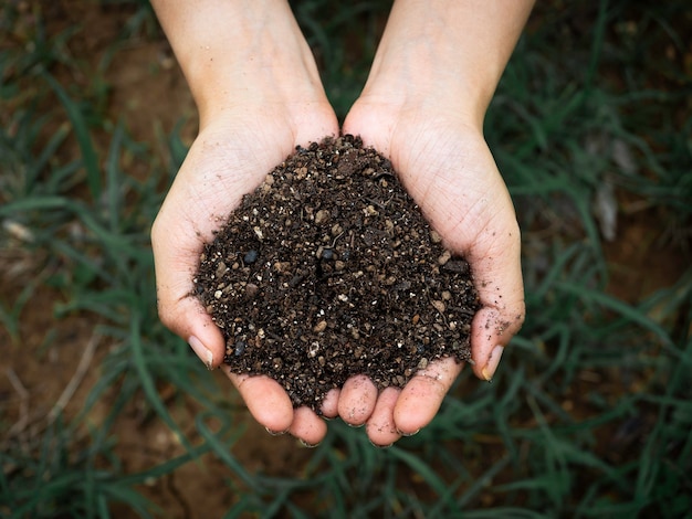 Conceito de ecologia. feche a mão feminina segurando solo orgânico cheio de matéria natural acima do fundo de grama verde escuro.