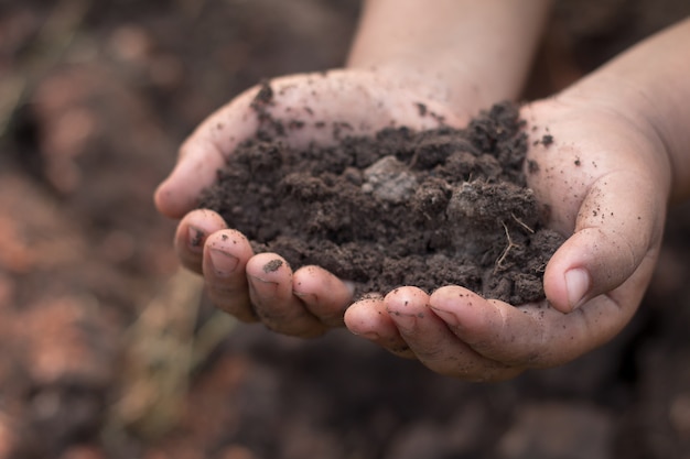 Conceito de ecologia. Mãos segurando a terra.