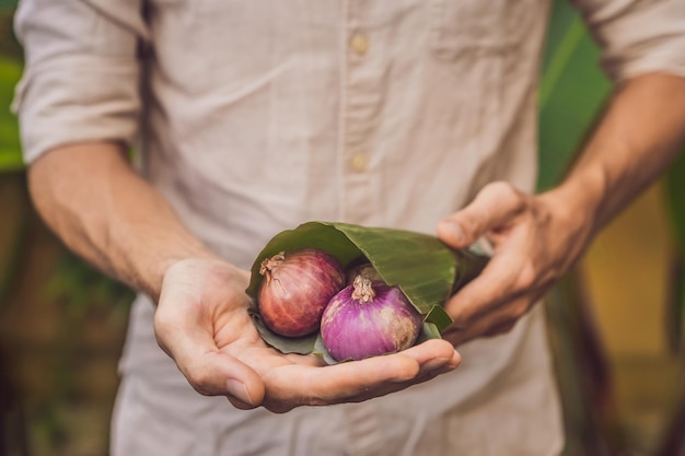 Conceito de embalagem de produtos ecológicos cebola embrulhada em folha de bananeira como alternativa ao plástico