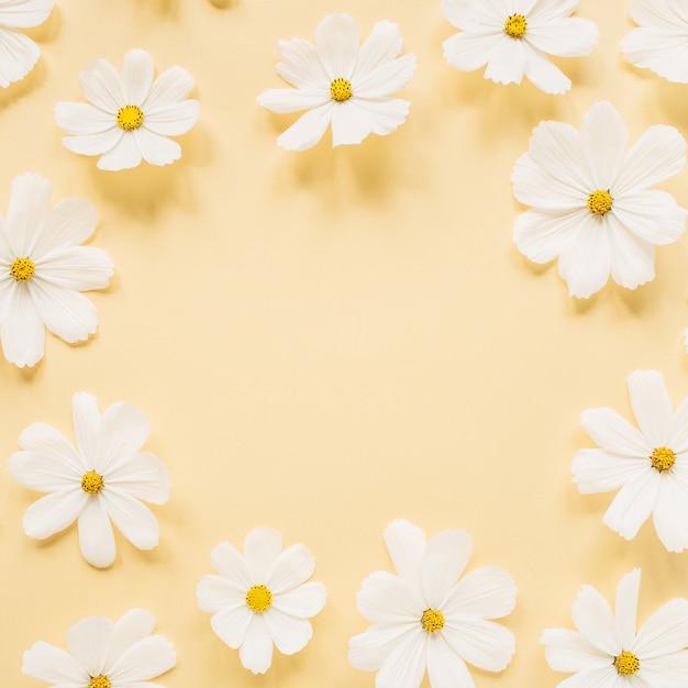 Foto conceito de estilo mínimo. coroa de flores feita de flores de camomila margarida branca em amarelo claro